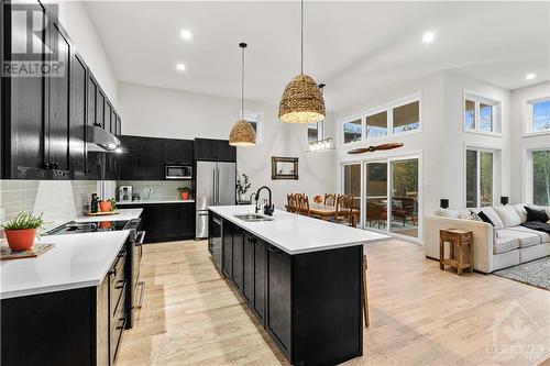 214 Blackhorse Drive, Ottawa, ON - Indoor Photo Showing Kitchen With Upgraded Kitchen