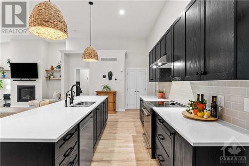 214 Blackhorse Drive, Ottawa, ON - Indoor Photo Showing Kitchen With Double Sink With Upgraded Kitchen