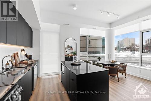 502 - 115 Echo Drive, Ottawa, ON - Indoor Photo Showing Kitchen With Double Sink With Upgraded Kitchen