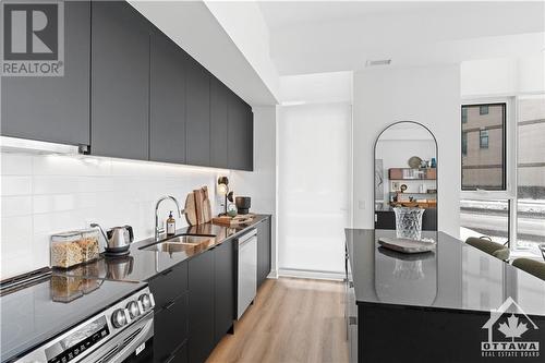 115 Echo Drive Unit#502, Ottawa, ON - Indoor Photo Showing Kitchen With Double Sink With Upgraded Kitchen