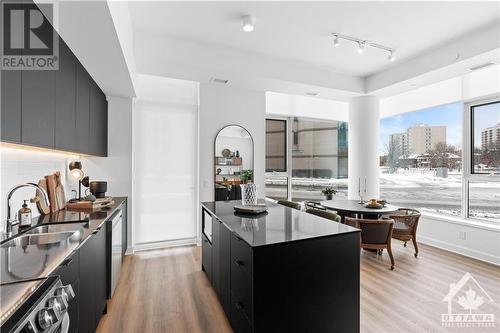 115 Echo Drive Unit#402, Ottawa, ON - Indoor Photo Showing Kitchen With Double Sink With Upgraded Kitchen