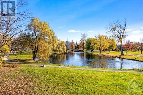 Tay River and majestic mature treed park that is known as Stewart Park - 5B Lewis Street, Perth, ON - Outdoor With Body Of Water With View