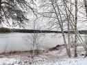 Bord de l'eau - 1383 Ch. Du Lac-Clair, Senneterre - Ville, QC  - Outdoor 