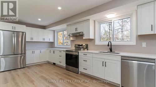 171 Estella Court, London, ON - Indoor Photo Showing Kitchen With Stainless Steel Kitchen