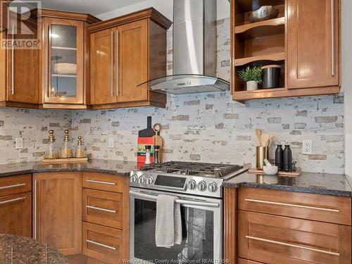 3365 St Patrick'S Drive, Windsor, ON - Indoor Photo Showing Kitchen