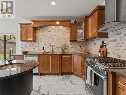 3365 St Patrick'S Drive, Windsor, ON - Indoor Photo Showing Kitchen With Upgraded Kitchen