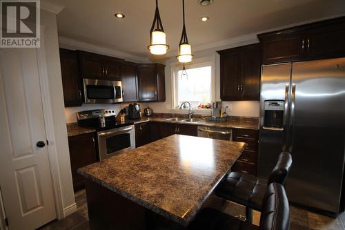 24 Agustus Avenue, Conception Bay South, NL - Indoor Photo Showing Kitchen With Double Sink