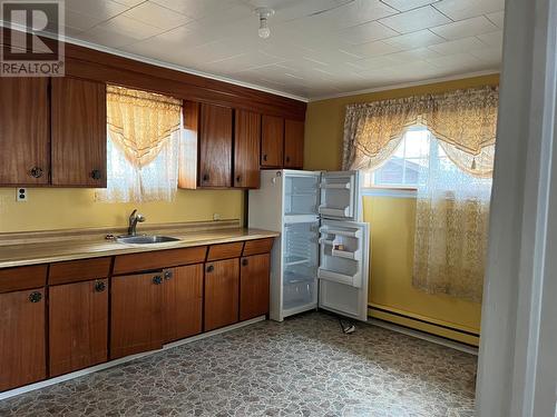 10 Ingrams Avenue, Daniels Harbour, NL - Indoor Photo Showing Kitchen