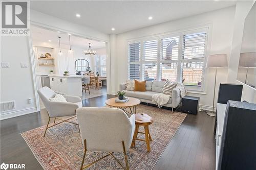 Living room with dark wood-type flooring and an inviting chandelier - 19 Mugford Crescent, Brampton, ON - Indoor Photo Showing Living Room