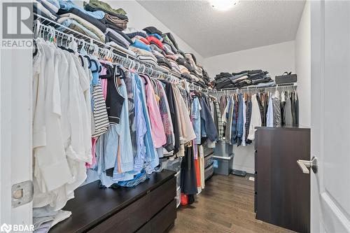 Walk in closet with dark wood-type flooring - 19 Mugford Crescent, Brampton, ON - Indoor With Storage