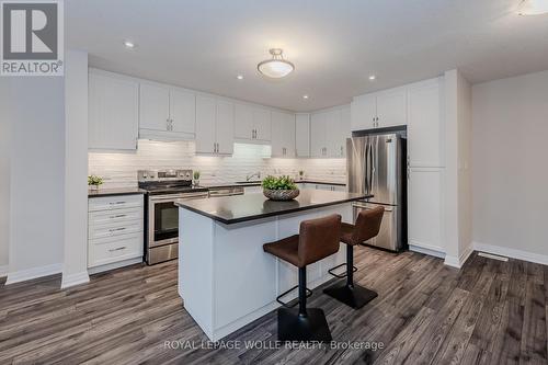 2B - 115 South Creek Drive, Kitchener, ON - Indoor Photo Showing Kitchen With Upgraded Kitchen