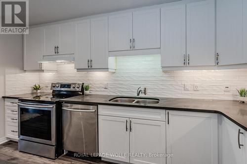 2B - 115 South Creek Drive, Kitchener, ON - Indoor Photo Showing Kitchen With Double Sink With Upgraded Kitchen