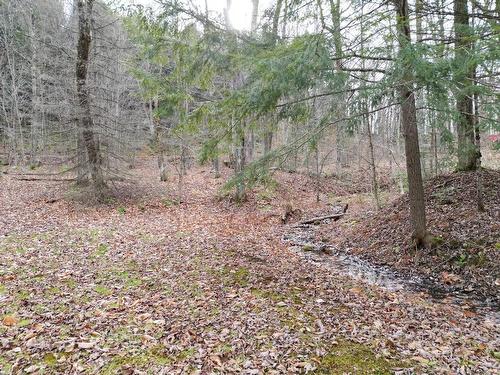 Land/Lot - 4 Ch. M.-Cousineau, Val-Des-Monts, QC 