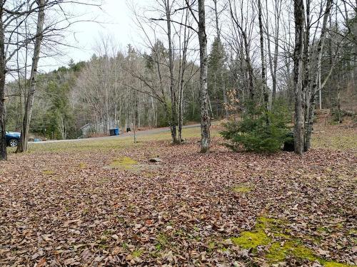 Land/Lot - 4 Ch. M.-Cousineau, Val-Des-Monts, QC 