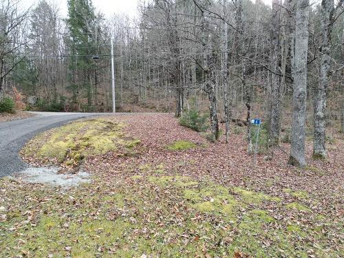 Land/Lot - 4 Ch. M.-Cousineau, Val-Des-Monts, QC 