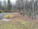 Land/Lot - 4 Ch. M.-Cousineau, Val-Des-Monts, QC 