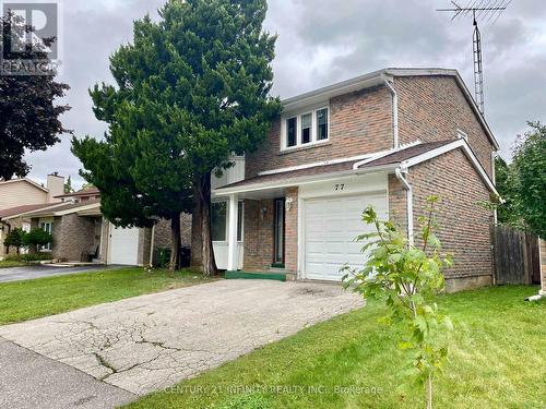 77 Ambercroft Boulevard, Toronto (Steeles), ON - Outdoor