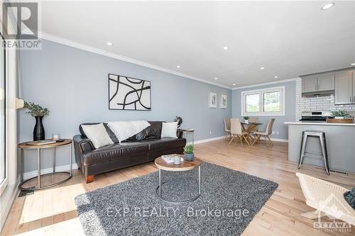 25 Oakview Avenue, Ottawa, ON - Indoor Photo Showing Living Room