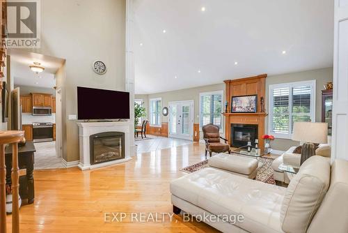 3750 Kalar Road, Niagara Falls (208 - Mt. Carmel), ON - Indoor Photo Showing Living Room With Fireplace