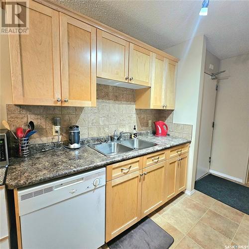 524 500 Olive Diefenbaker Drive, Prince Albert, SK - Indoor Photo Showing Kitchen With Double Sink