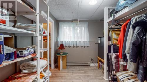 9 Toope Place, Mount Pearl, NL - Indoor With Storage