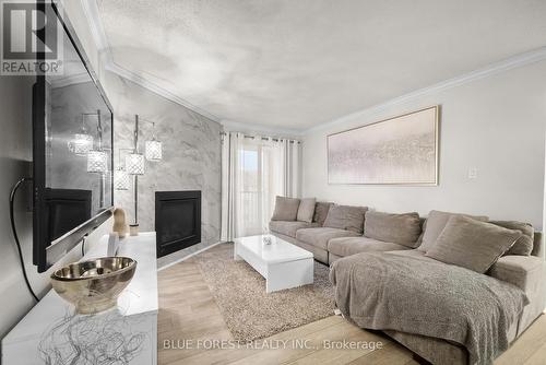 315 - 735 Deveron Crescent, London, ON - Indoor Photo Showing Living Room With Fireplace