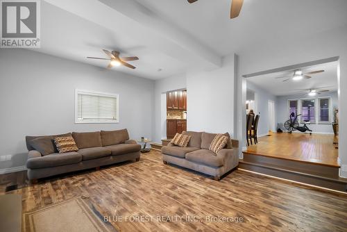 246 Grey Street, London, ON - Indoor Photo Showing Living Room