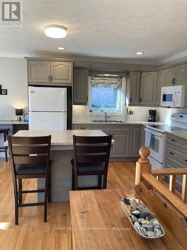 553 1St Street, Owen Sound, ON - Indoor Photo Showing Kitchen With Double Sink