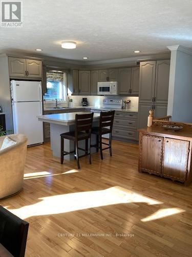 553 1St (Sw) Street, Owen Sound, ON - Indoor Photo Showing Kitchen