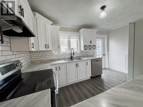 52 Greenhill Crescent, Burin, NL - Indoor Photo Showing Kitchen With Double Sink