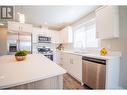 8800 Dallas Drive Unit# 175, Kamloops, BC  - Indoor Photo Showing Kitchen With Double Sink With Upgraded Kitchen 