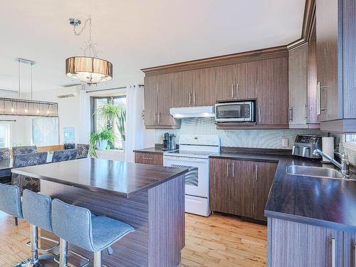 Cuisine - 103 Rue Dugas, Sainte-Anne-Des-Plaines, QC - Indoor Photo Showing Kitchen With Double Sink