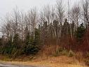 Land/Lot - 223 Route 132, Shigawake, QC 