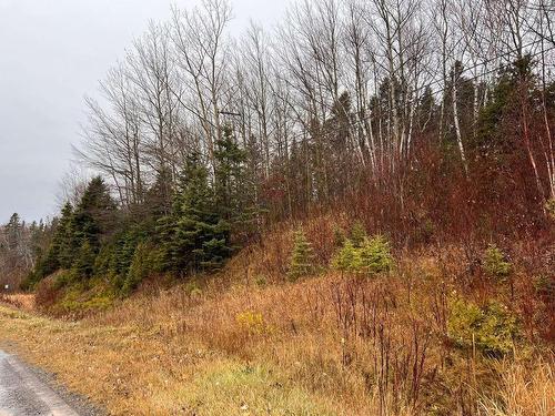 Land/Lot - 223 Route 132, Shigawake, QC 