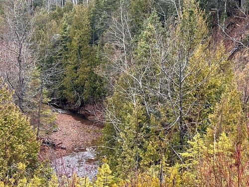 Land/Lot - 223 Route 132, Shigawake, QC 