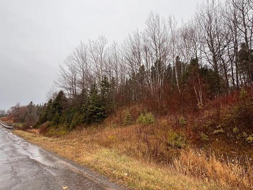 Land/Lot - 223 Route 132, Shigawake, QC 