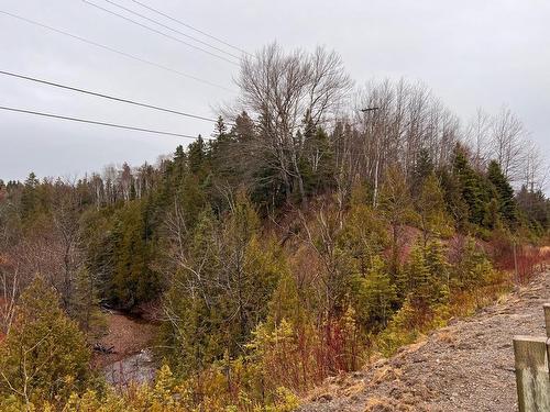 Land/Lot - 223 Route 132, Shigawake, QC 