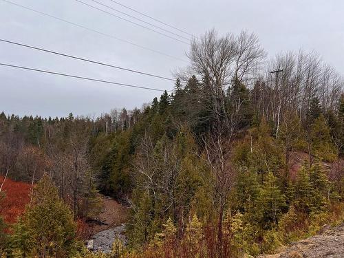 Land/Lot - 223 Route 132, Shigawake, QC 