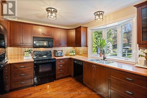 12 Portal Court, Hamilton, ON - Indoor Photo Showing Kitchen With Double Sink