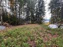 7423 Anglemont Way, Anglemont, BC 