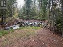 7423 Anglemont Way, Anglemont, BC 