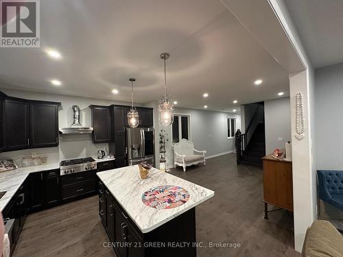 1291 Kovachik Boulevard, Milton, ON - Indoor Photo Showing Kitchen With Upgraded Kitchen