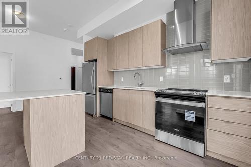 502 - 55 Duke Street W, Kitchener, ON - Indoor Photo Showing Kitchen With Upgraded Kitchen