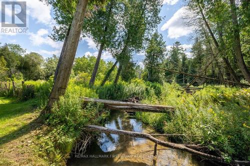 7236 Carscadden Road, Clarington, ON - Outdoor With View