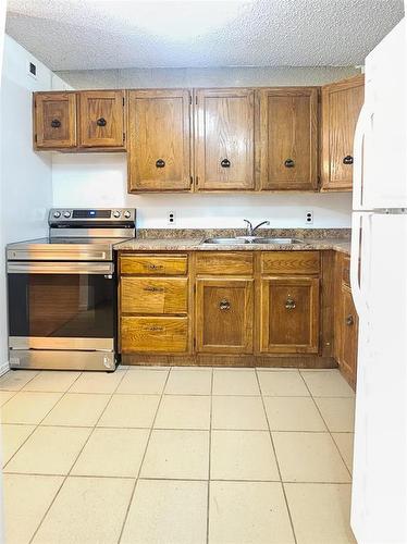 7B 932 Summerside Avenue, Winnipeg, MB - Indoor Photo Showing Kitchen With Double Sink