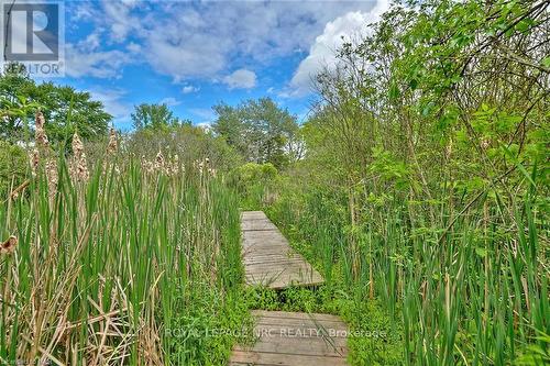 Vl River Trail, Fort Erie, ON 