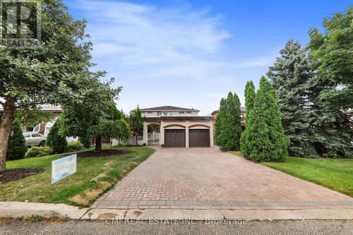 Lower - 24 Dunstan Crescent, Vaughan, ON - Outdoor