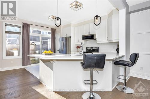 246 Willow Aster Circle, Ottawa, ON - Indoor Photo Showing Kitchen With Upgraded Kitchen