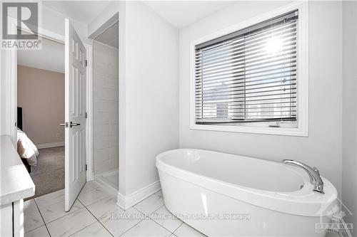 246 Willow Aster Circle, Ottawa, ON - Indoor Photo Showing Bathroom