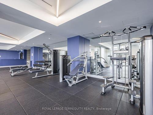 501-293 The Kingsway, Toronto, ON - Indoor Photo Showing Gym Room